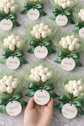Mini Bouquets de Tulipanes