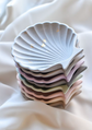 Shell Tray