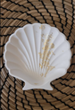 Shell Tray