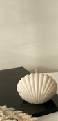 Shell Candle