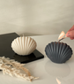 Shell Candle