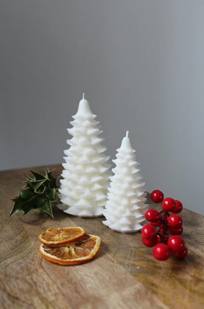 Maple Christmas Tree candles.