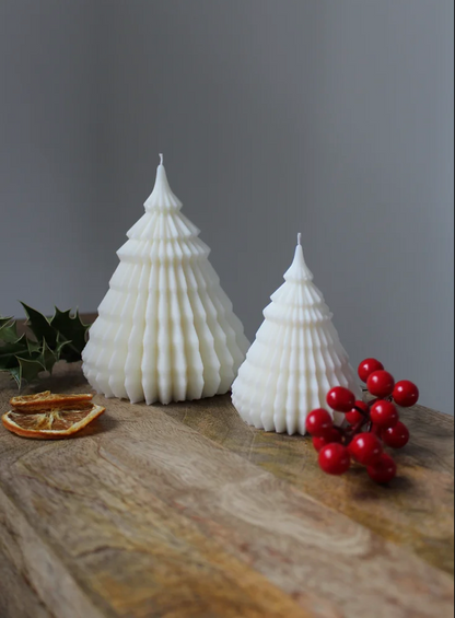 Oxford Christmas Tree